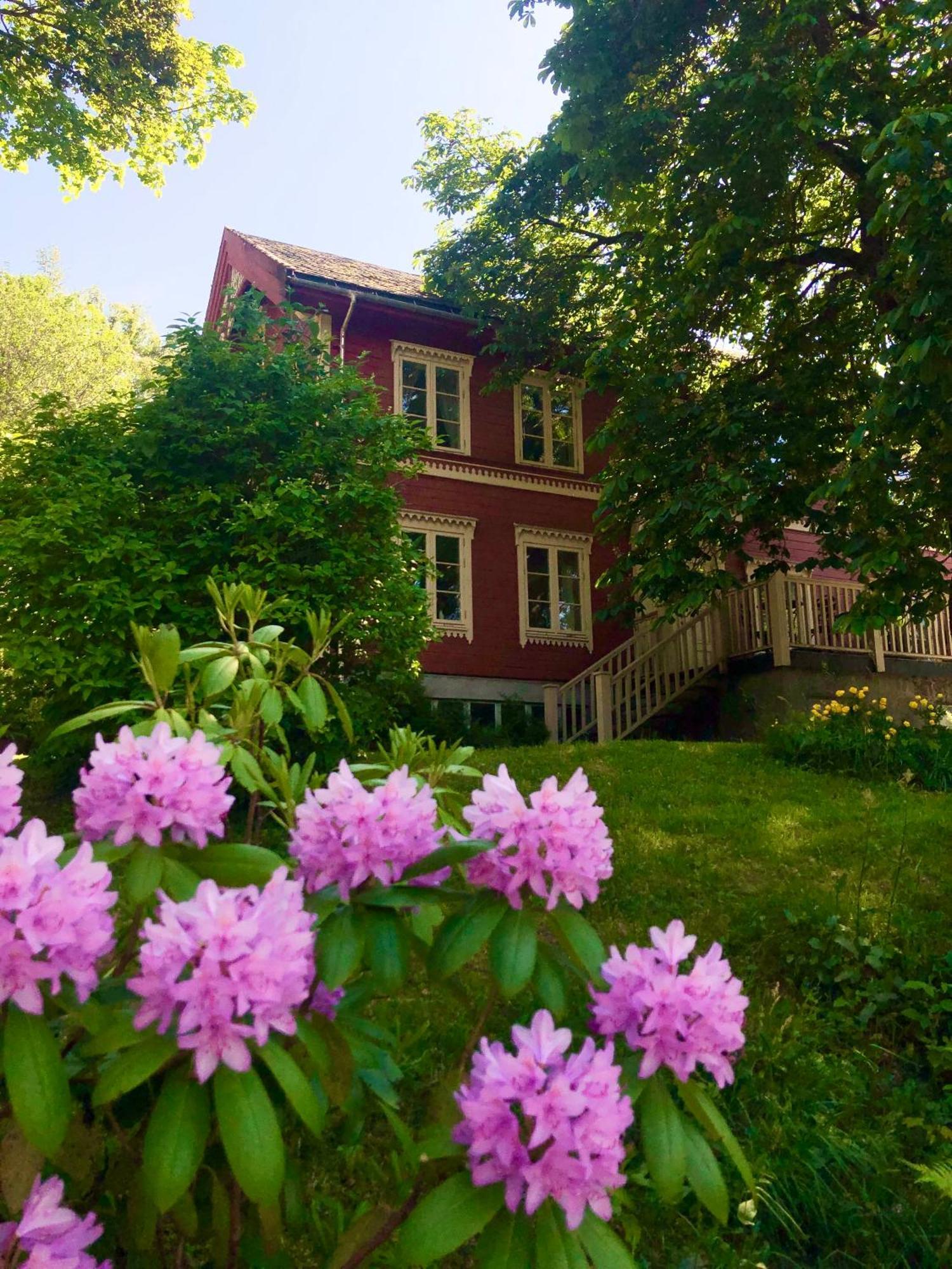 Gronset Skysstasjon Bed & Breakfast Vinjeora Dış mekan fotoğraf